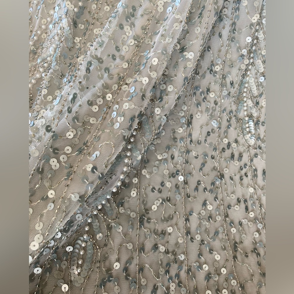 Adrianna Papell gown - Picture 2 of 6